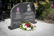 Urz�d Miejski w Wolsztynie