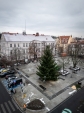 Urz�d Miejski w Wolsztynie