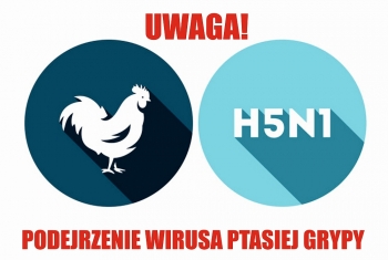 Urzd Miejski w Wolsztynie